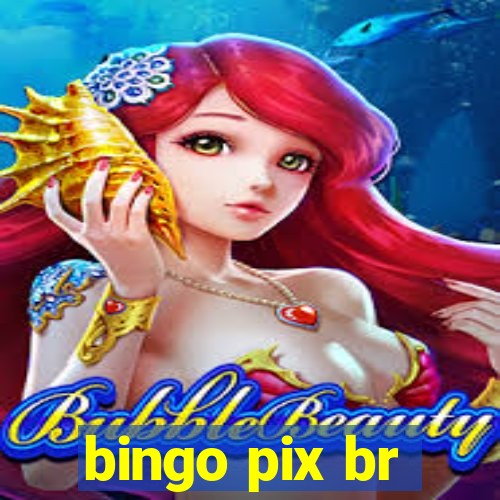 bingo pix br