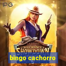 bingo cachorro