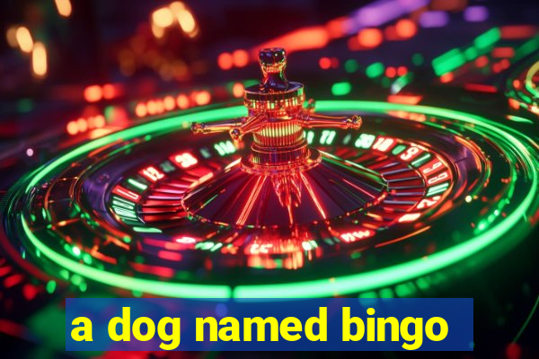 a dog named bingo