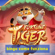 bingo come funziona