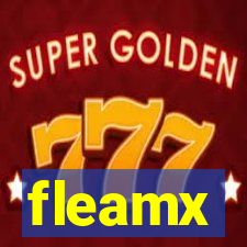 fleamx