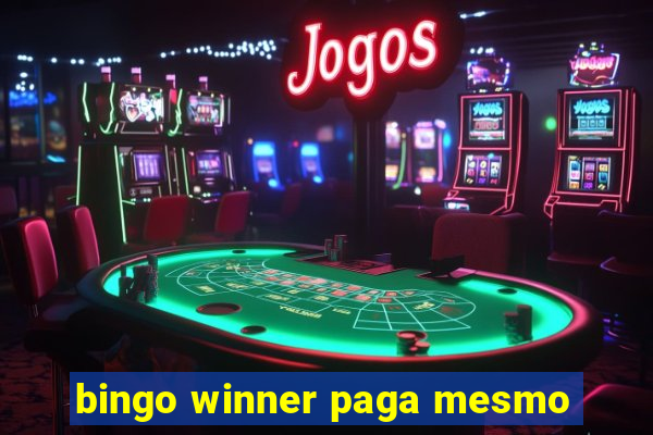 bingo winner paga mesmo