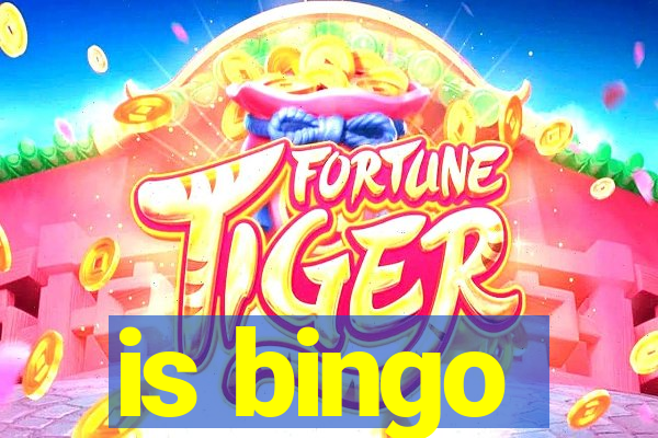 is bingo