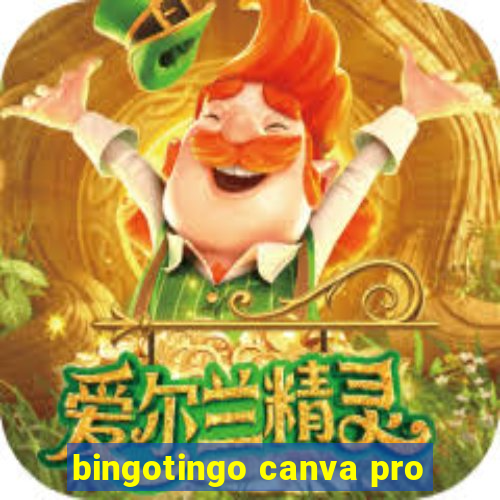 bingotingo canva pro