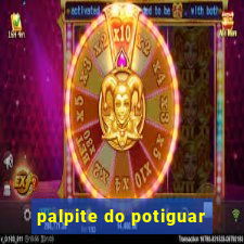 palpite do potiguar