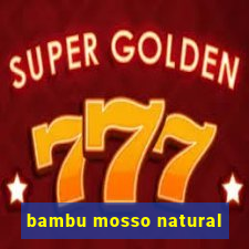 bambu mosso natural