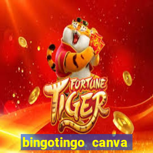 bingotingo canva pro gratis