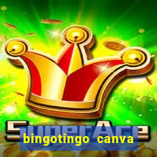 bingotingo canva pro gratis