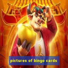 pictures of bingo cards