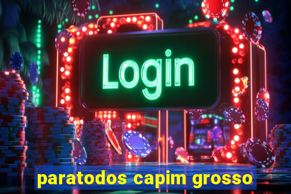 paratodos capim grosso