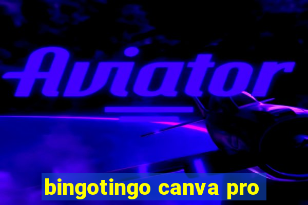 bingotingo canva pro