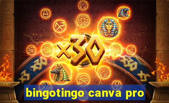 bingotingo canva pro