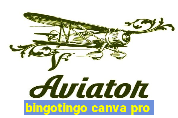 bingotingo canva pro