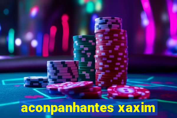 aconpanhantes xaxim