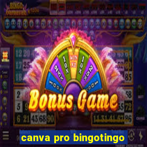 canva pro bingotingo