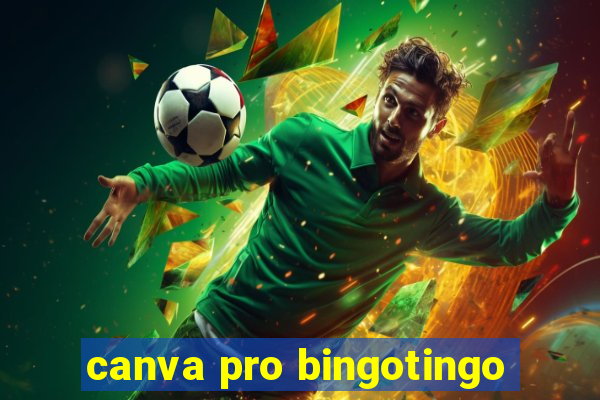 canva pro bingotingo