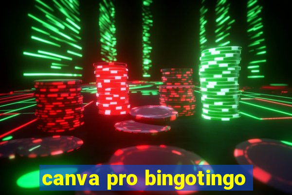 canva pro bingotingo