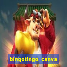 bingotingo canva pro gratis