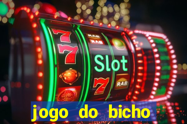 jogo do bicho crash bingo