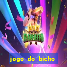 jogo do bicho crash bingo