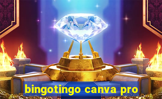 bingotingo canva pro