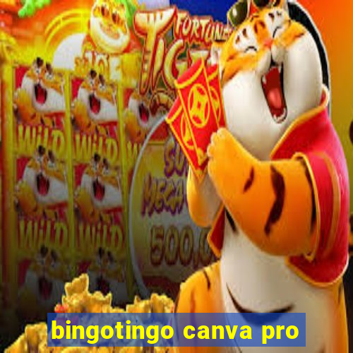 bingotingo canva pro